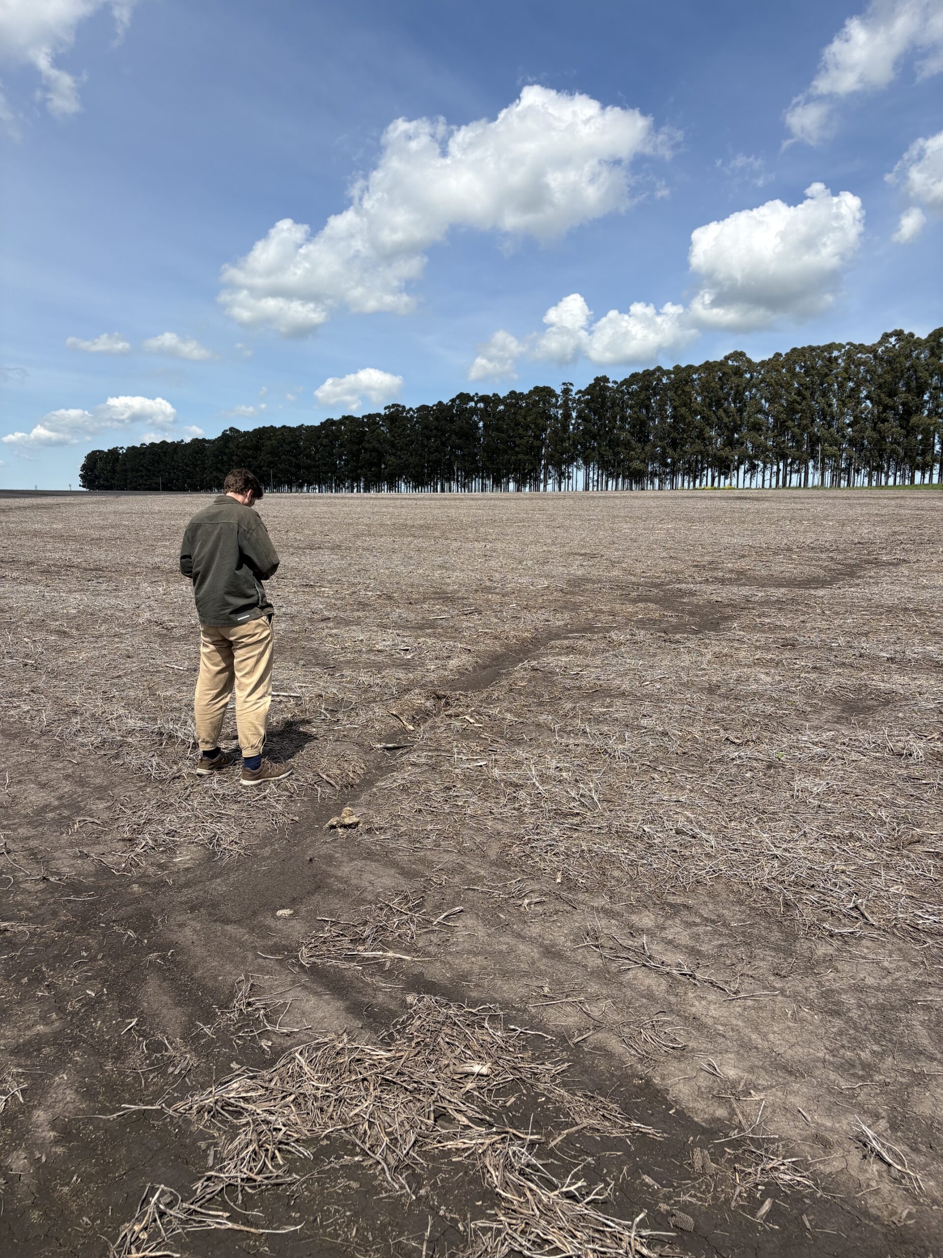 Agricultural expansion intensifies pesticide transfers in the Uruguay River, which drains southern Brazil